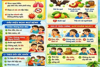 🌈 CHỦ ĐỘNG PHÒNG, CHỐNG BỆNH DO VI-RÚT NIPAH 🌿 Chung tay bảo vệ sức khỏe – Giữ trọn niềm vui đến trường